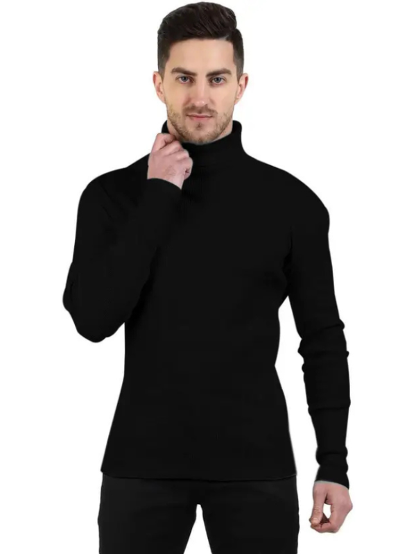 Men Solid High Neck Wool Blend Black T-Shirt