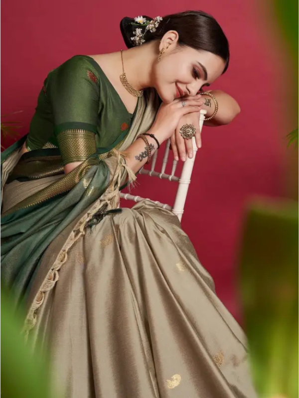 Woven Paithani Cotton Silk Saree (Multicolor)